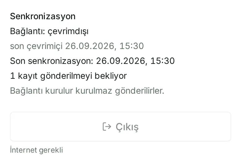 “Diğer” altında bekleyen kayıtlarla “Senkronizasyon” bölümü